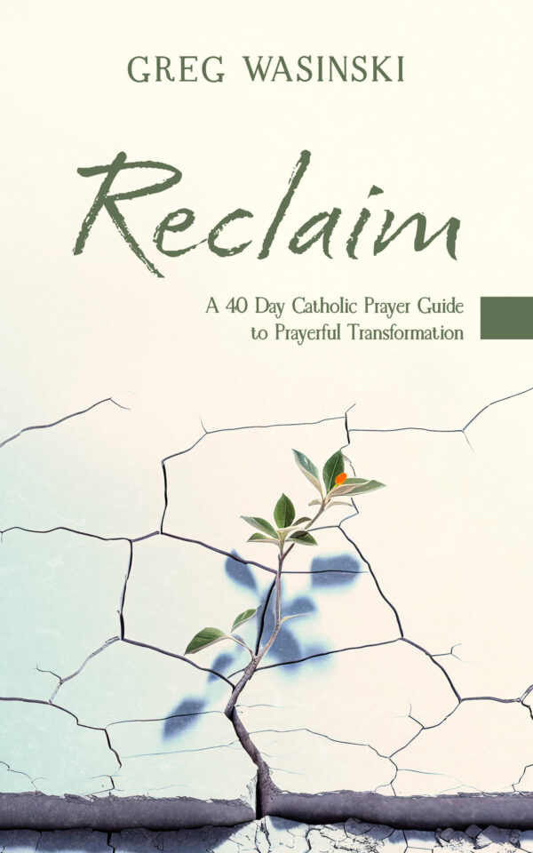 RECLAIM Paperback Edition - Image 2