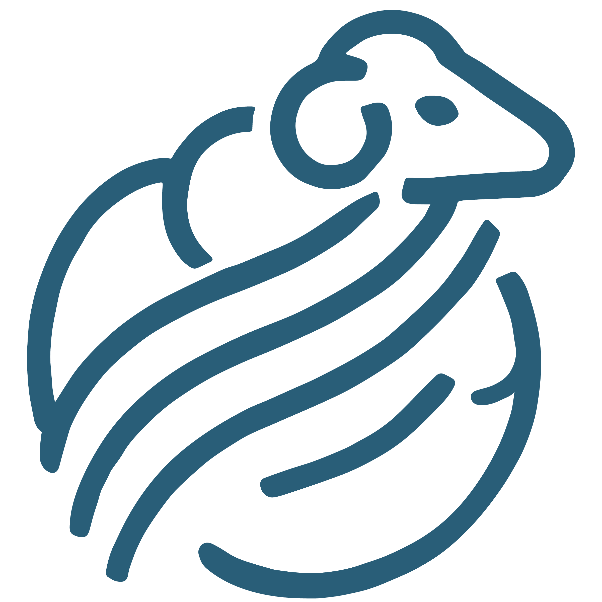 THE ONE EXPERIENCE- FOLLOW UP