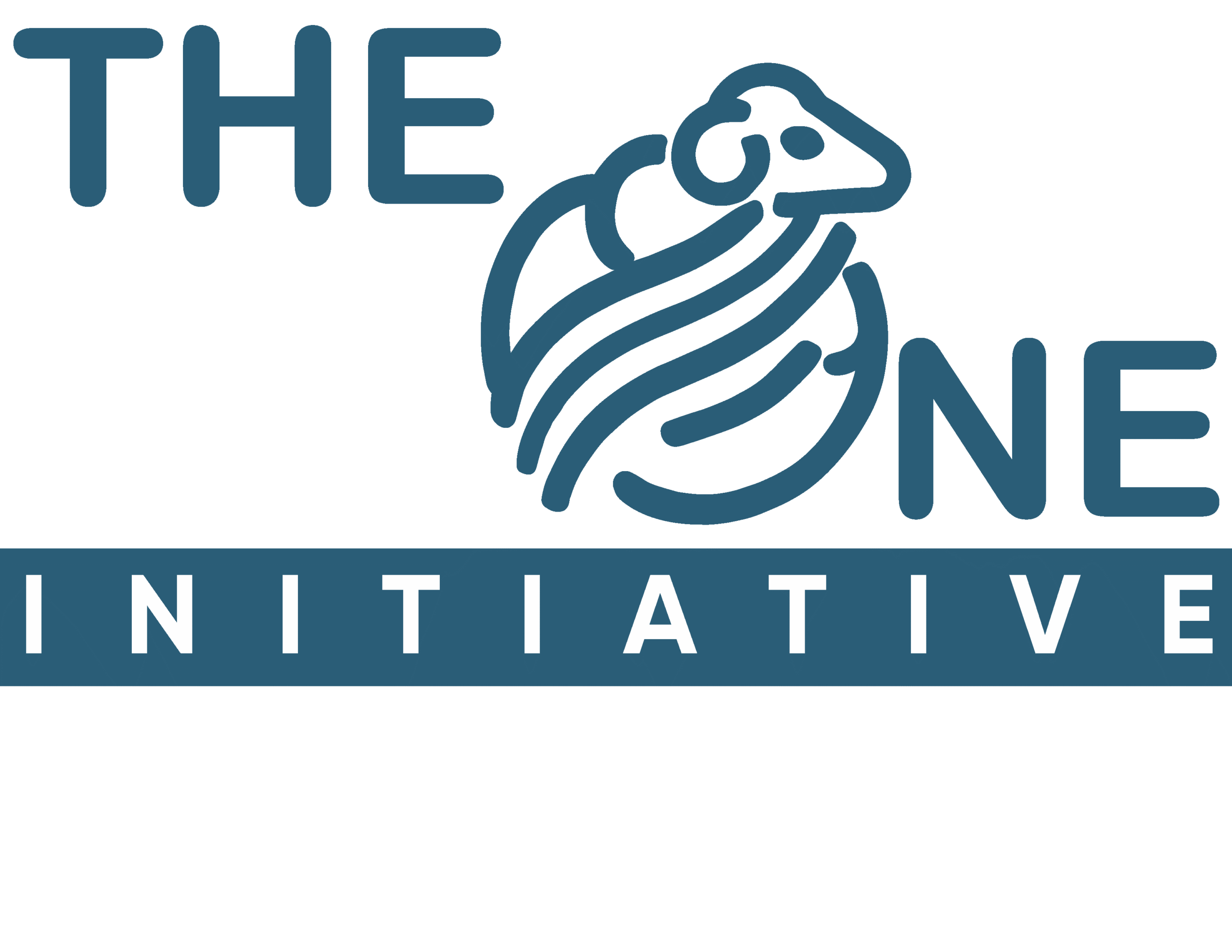 THE ONE EXPERIENCE- FOLLOW UP